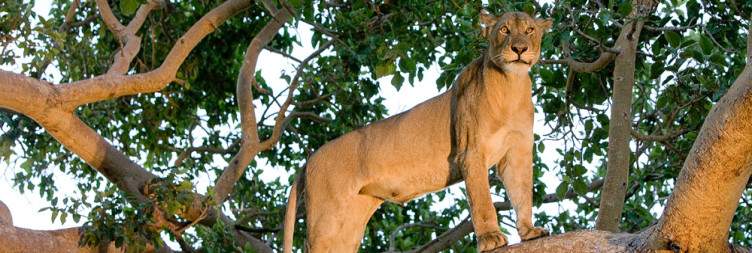 Lake Ithezi Thezi, Southern Kafue National Park