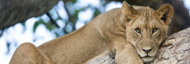Northern Kafue National Park