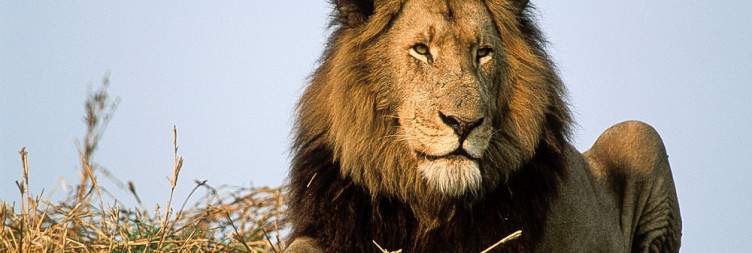 Kafue National Park