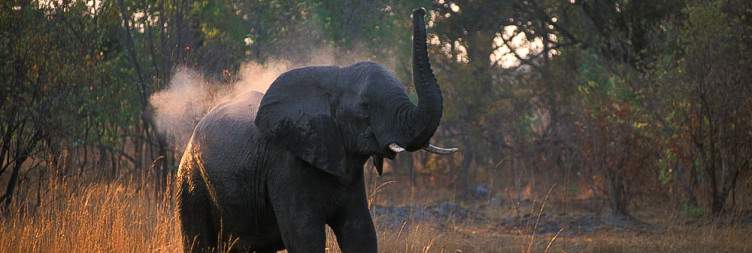 Lusaka to Kafue National Park