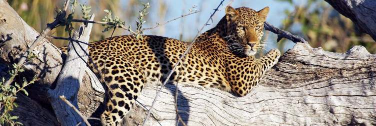Exploring the Remote Plains of Kafue National Park