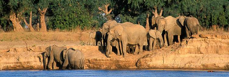 Lower Zambezi National Park