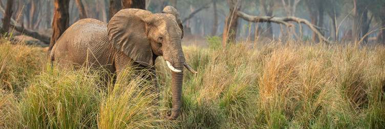 Lower Zambezi National Park