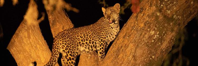 Lusaka-Lower Zambezi National Park