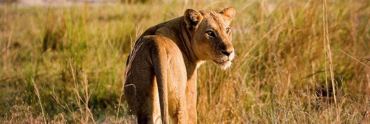 Arrival in South Luangwa