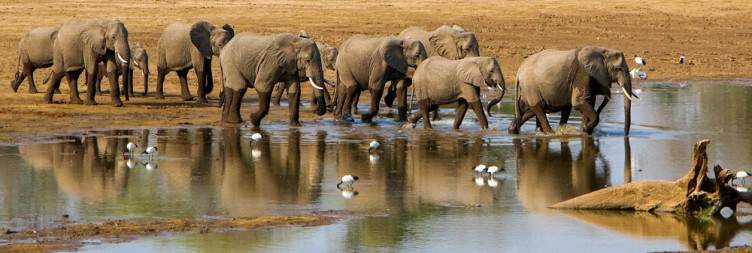 Lower Zambezi National Park to South Luangwa