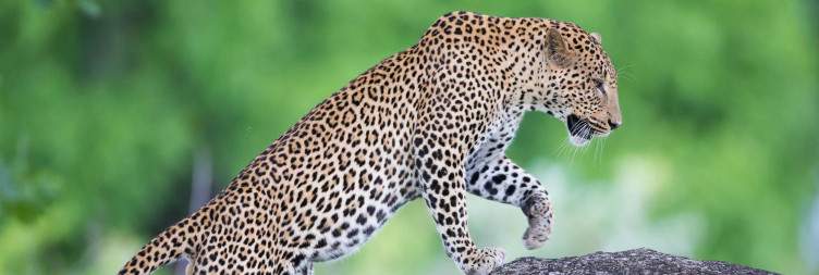 Arrival in South Luangwa National Park