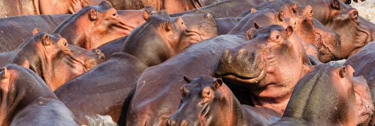 Arrival to South Luangwa