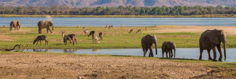 Arrival – Sussi & Chuma Lodge