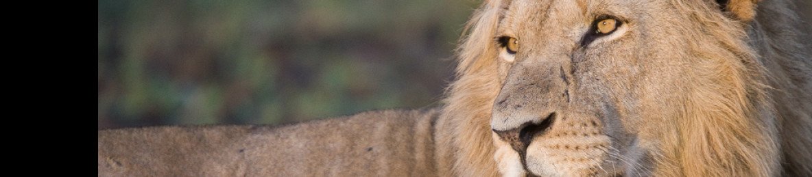 12-Day 11 Nights in Malawi and South Luangwa