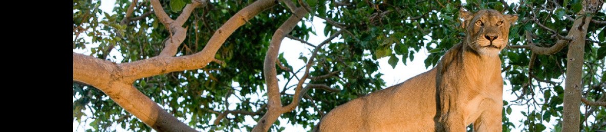 4-Day Central Kafue Get Away