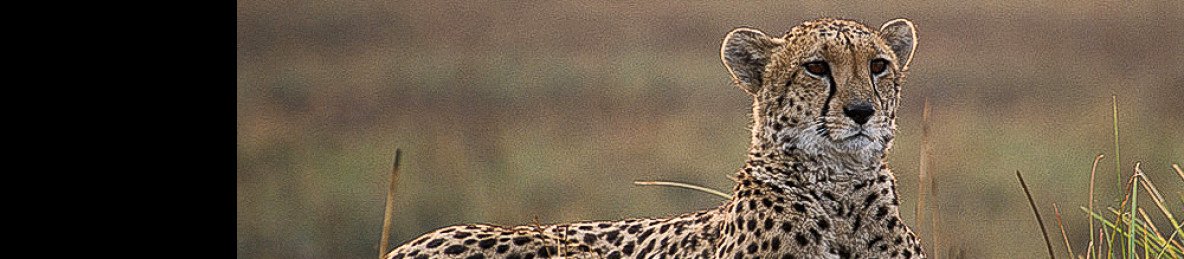 11-Day Kafue National Park from South to North