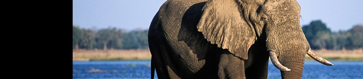 12-Day Zambezi and Luangwa Valleys