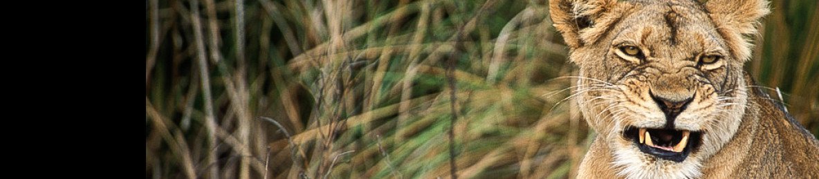 10-Day Explore the Wild Margins of Zambia