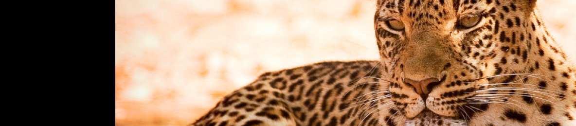 9-Day Malawi Zambia Luxe Package