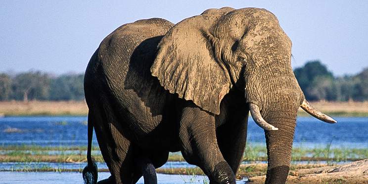 12-Day Zambezi and Luangwa Valleys