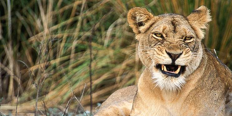 10-Day Explore the Wild Margins of Zambia