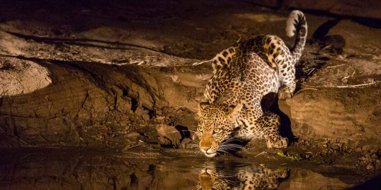 10-Day South Luangwa & Livingstone (Victoria Falls)