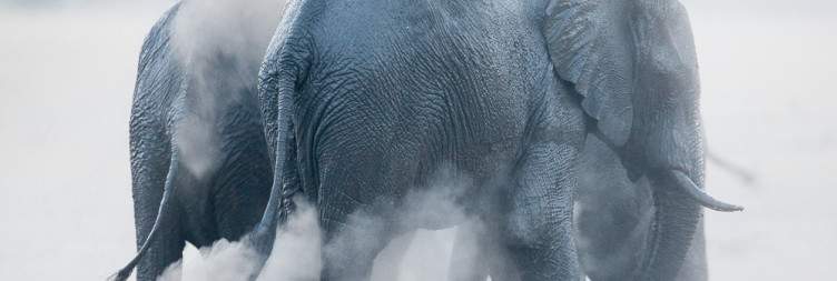 Hwange National Park