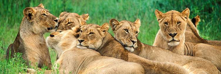 Hwange National Park - Victoria Falls
