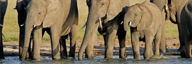 Hwange National Park