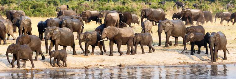 Hwange National Park