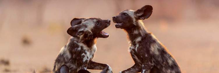 Mana Pools