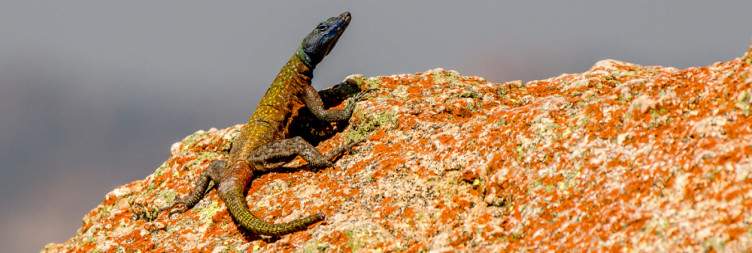 Matobo National Park