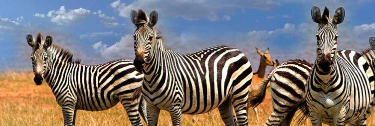 Fly to Lake Kariba