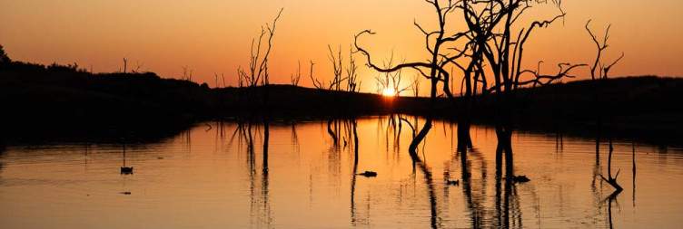 Game Drives, Boats and Walks by Lake Kariba