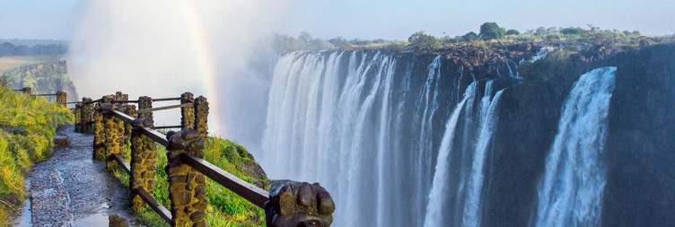 Exploring the Falls & Rainforest