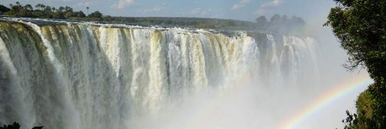 Guided Rainforest Tour & Optional Activities