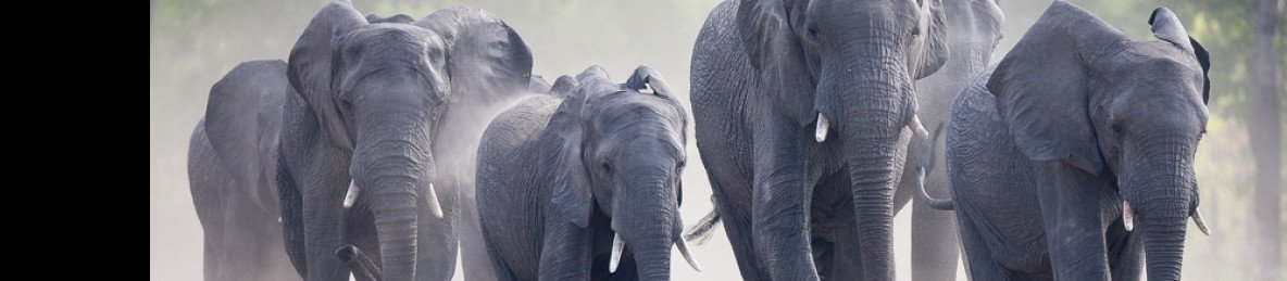 4-Day Victoria Falls and a Full-Day in Zambezi Nat-Park