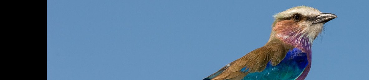 3-Day Victoria Falls and Hwange National Park