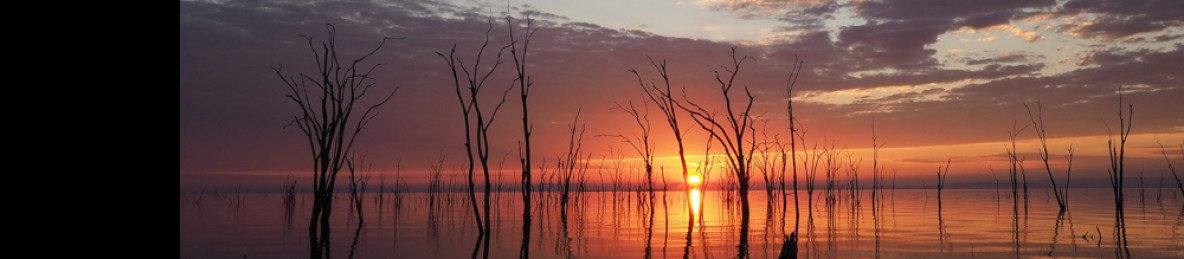 5-Day Hwange and Victoria Falls Sightseeing Safari