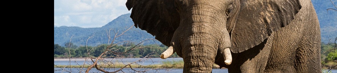 10-Day 4 Star Zimbabwe Victoria Falls Hwange Lake Kariba