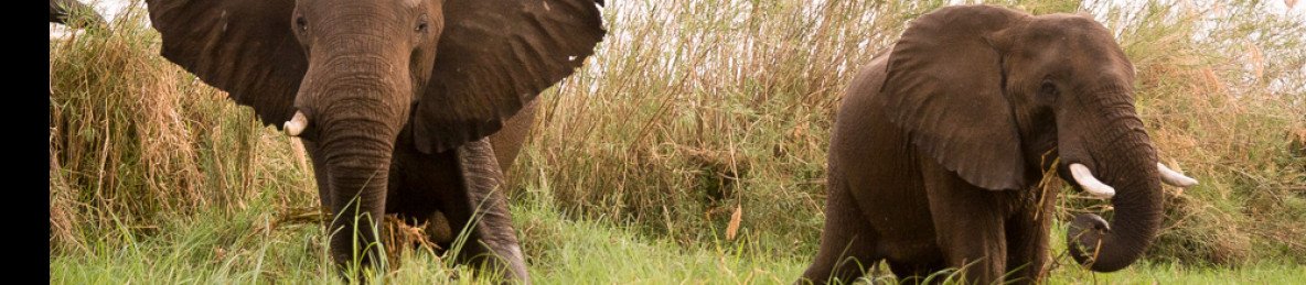 9-Day Cape Town, Kruger & Vic Falls