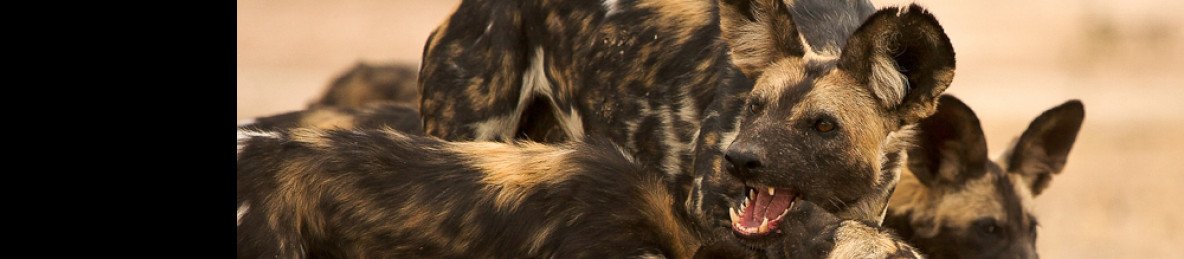 10-Day Zambezi Wild Heart Safari