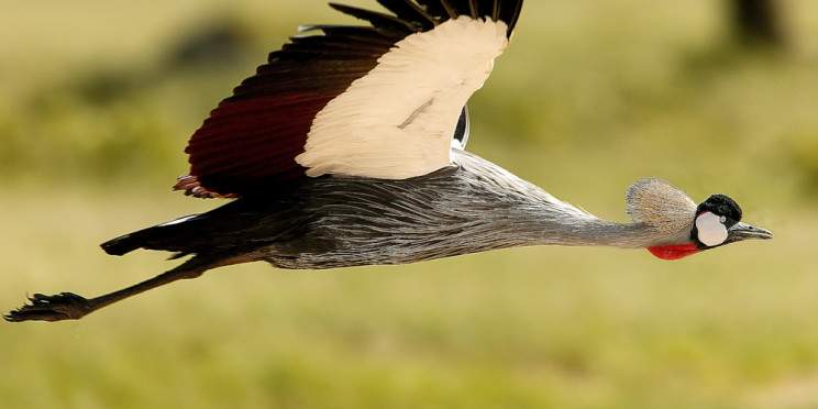 9-Day Adventure from Falls to Floodplains