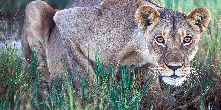 10-Day Luxury Zimbabwe Victoria Falls Hwange Lake Kariba