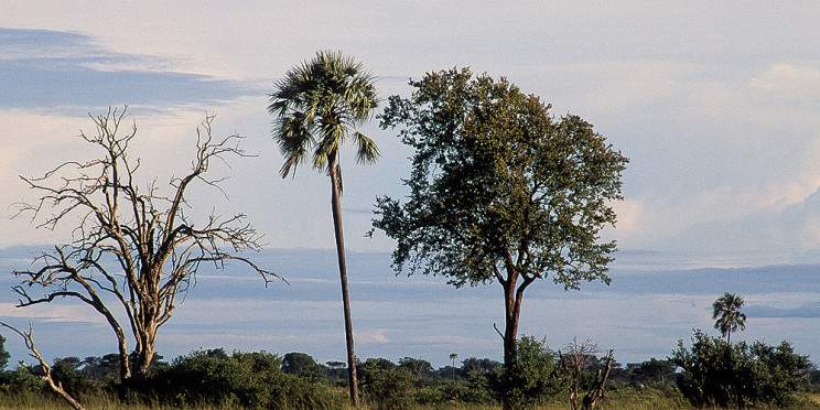 4-Day Victoria Falls and Hwange Full-Day Game Drive