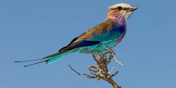 3-Day Victoria Falls and Hwange National Park