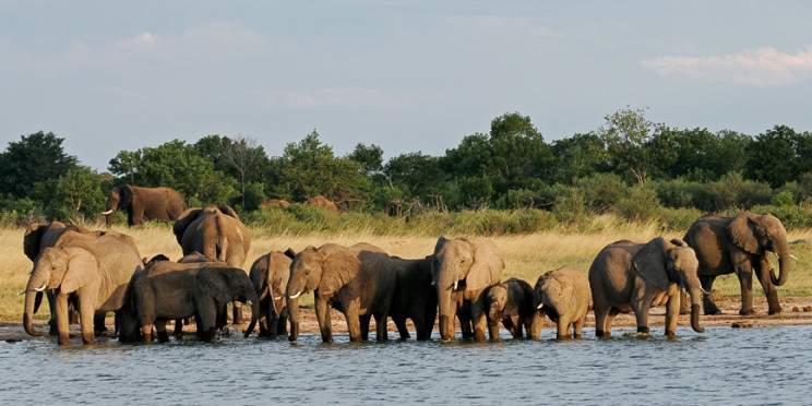 3-Day Hwange NP Safari Experience Staying at Ivory Lodge