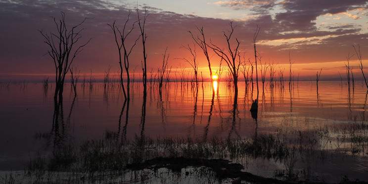 5-Day Hwange and Victoria Falls Sightseeing Safari