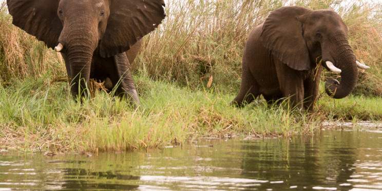 9-Day Cape Town, Kruger & Vic Falls