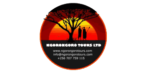 Ngorongoro Tours logo