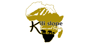 Kili Slope Tours and Safaris logo