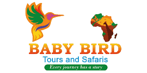 Baby Bird Tours and Safaris logo