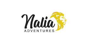 Nalia Adventures logo