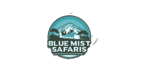 Blue Mist Safaris logo
